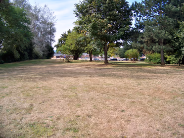 Cherry Park Off Leash Area